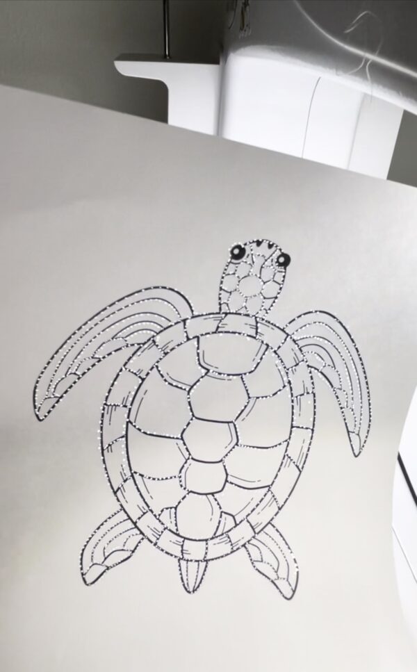 A drawing of a turtle on paper