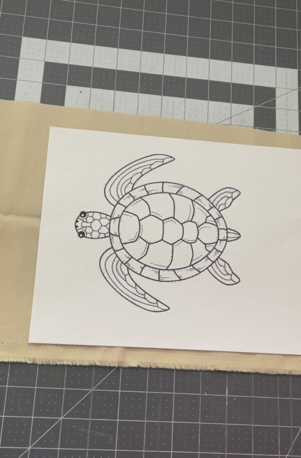A drawing of a turtle on paper.